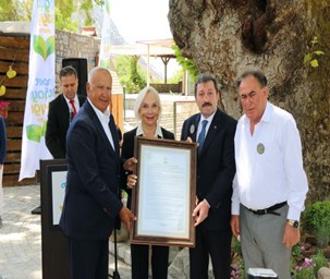Orman yangınlarından zarar gören köyler için  geliştirilen kalkınma projesinde ilk durak Bayır Köyü 