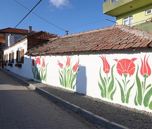 Etno-Köy Çıplak Projesi